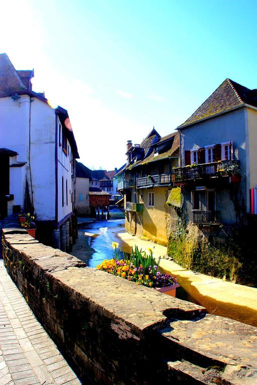 Les Pavillons Du Rooy Salies-de-Béarn Exterior foto